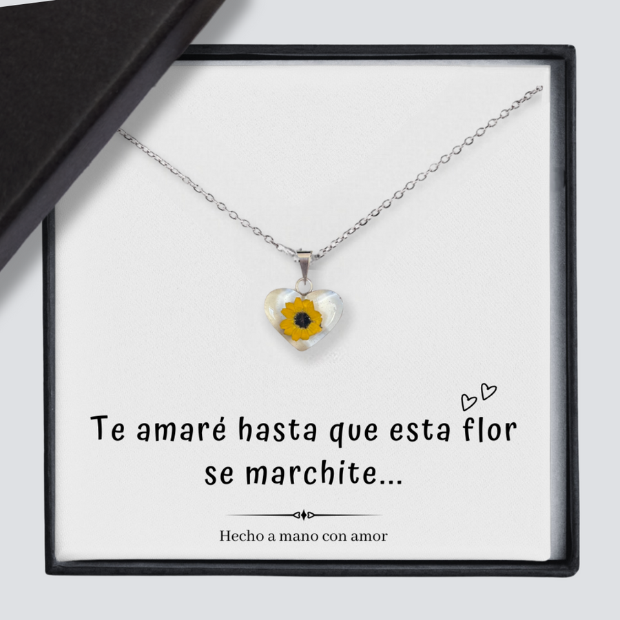 Girasol te amaré
